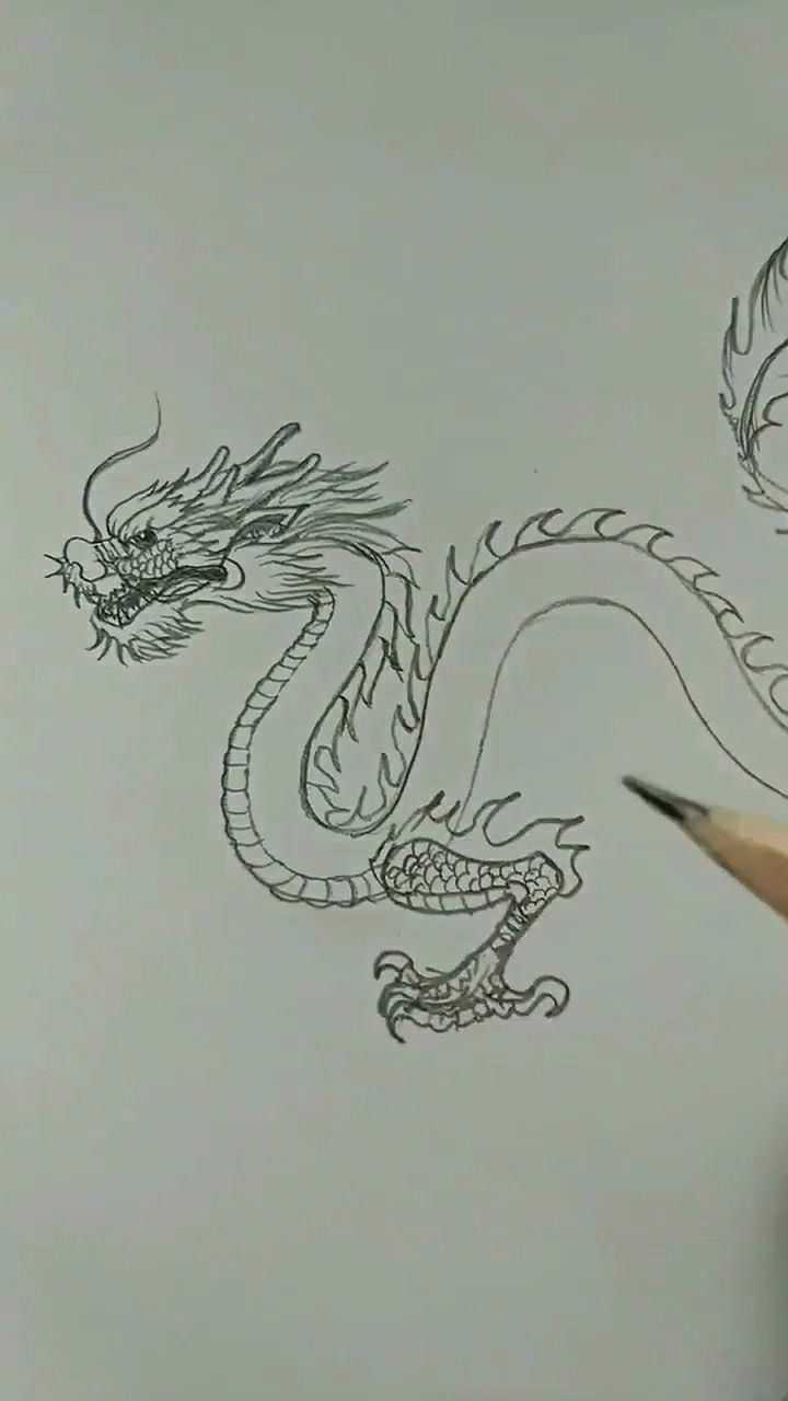 简笔画左青龙右白虎_腾讯视频