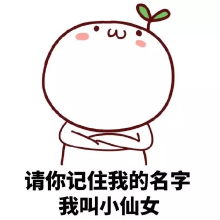 我叫小仙女(颜文字)_小仙女_颜文字_文字表情表情相似表情热门表情包