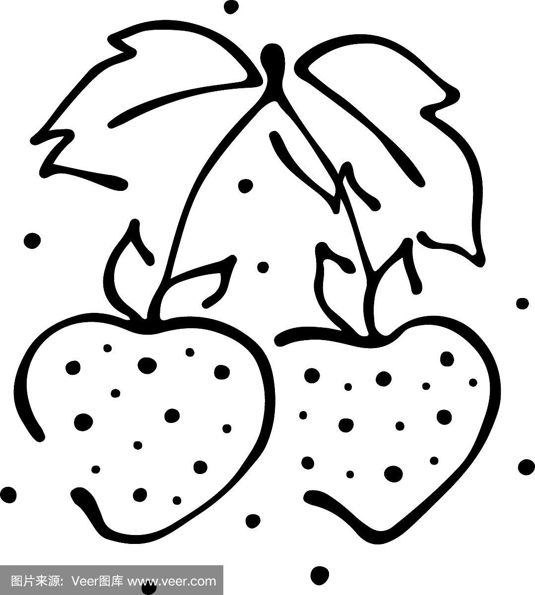 乱画,绘画插图,草莓,矢量,叶子