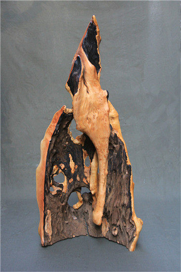 王贵祥贵州特色文玩天然枯块树洞野生木大摆件根雕