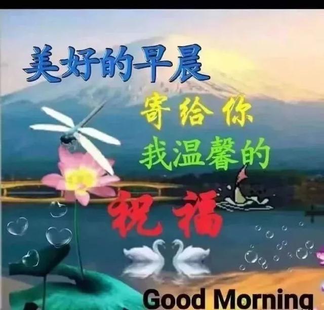原创最暖心的早上好表情图片最美早上好温馨祝福短信