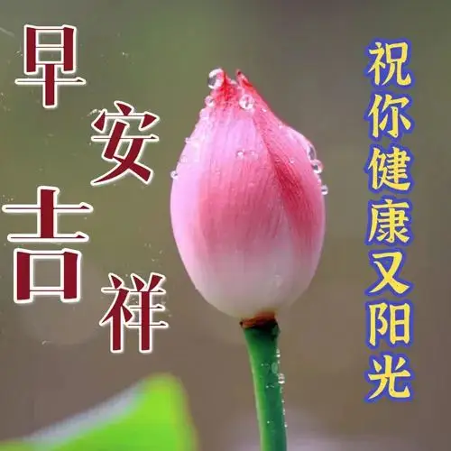 好问候祝福语图片 精选早安暖心祝福图片带字带祝福语_人生_朋友_开心