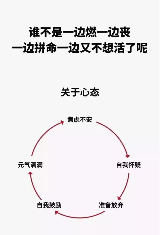 25张概括你人生的图片只有成年人才能看懂