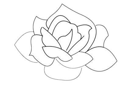 月季花简笔画简单画法步骤教程及图片大全