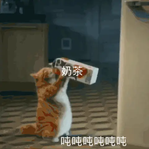 约奶茶表情包动图合集你能不能偷你男朋友钱给我买一杯奶茶