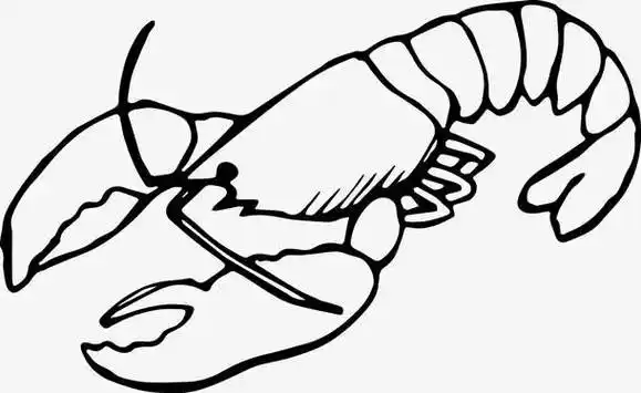 手绘大龙虾澳洲龙虾手绘小龙虾卡通手绘手绘卡通小人图片手绘人物书本