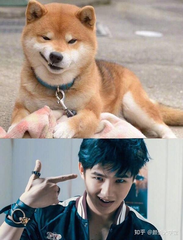 庆余年张若昀撞脸哈士奇单眼皮竟然也能这么可爱