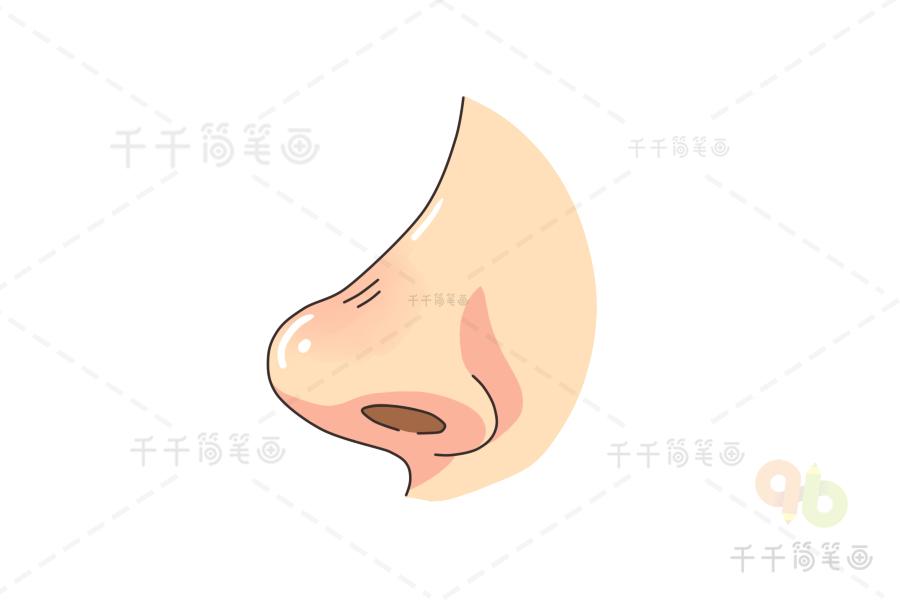 鼻子简笔画侧脸