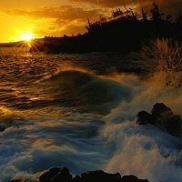 中年爸爸用的微信头像_微信头像图片大全