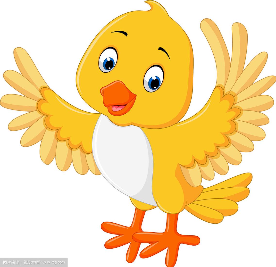 可爱的黄色小鸟卡通