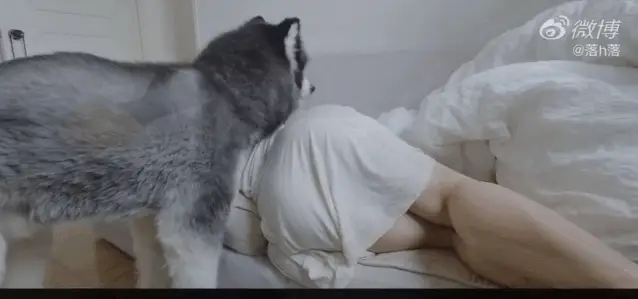 国产健身美女一个gif爆红全网网友这身材简直太诱人