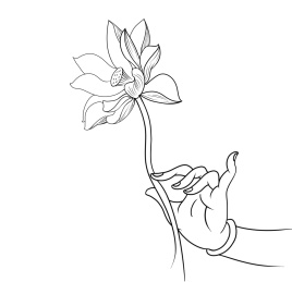 手绘艺术线描佛手莲花插画