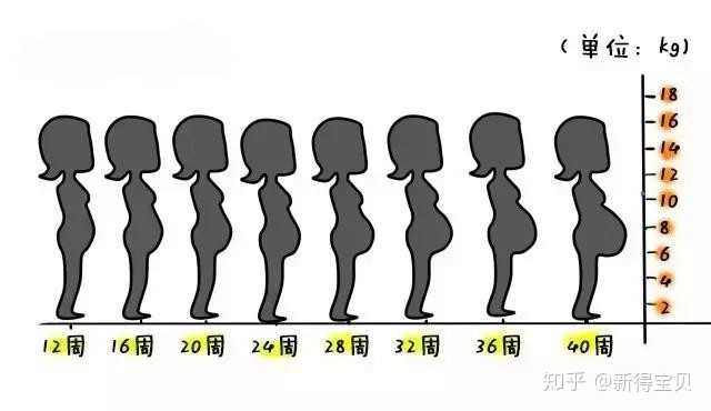 女性在怀孕后身体会发生什么变化?