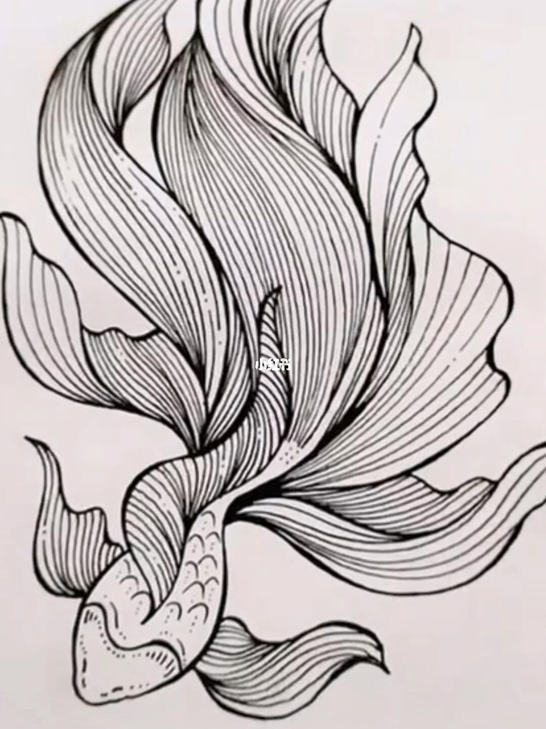 简单小教程金鱼写意画法步骤