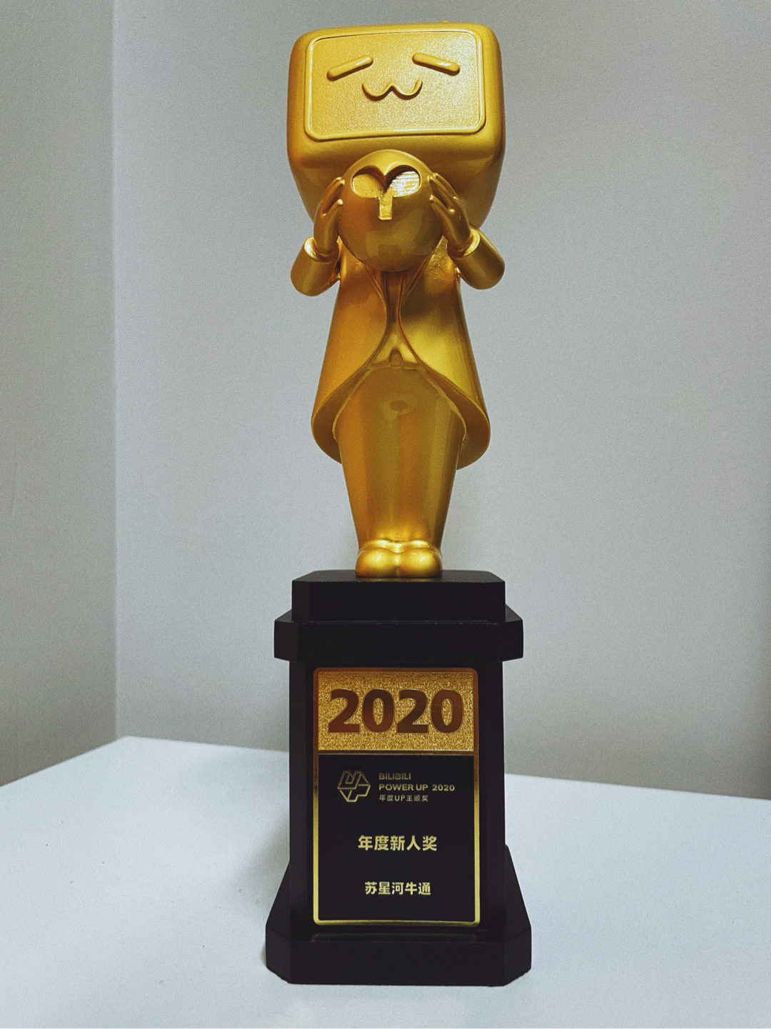 苏星河牛通 _ 哔哩哔哩相簿