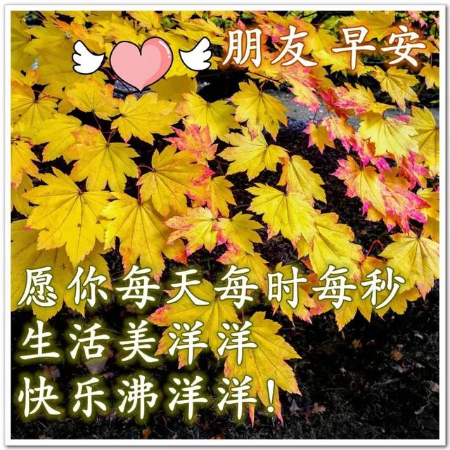 早上好温馨问候语大全 大家早上好祝福语加图片 朋友早晨问候语