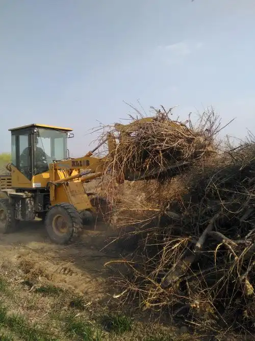 上井村常年收购果树枝,桃树枝,各种废旧木材,地址上井石材往北200米.