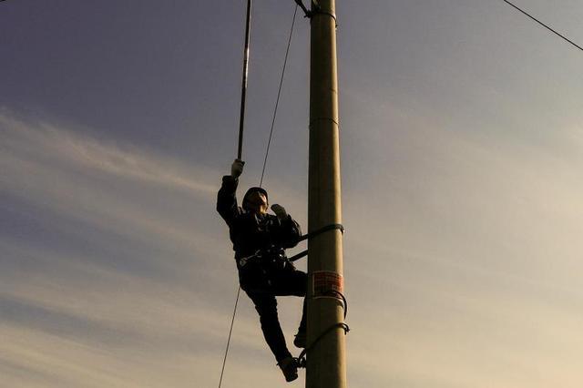 "齐天大圣"爬上了电杆,这可难坏了嘉祥供电公司的供电员工