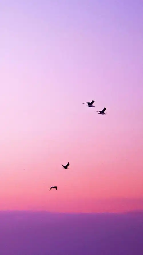 让人少女心酥炸的风景