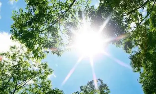 骄阳似火,他们的脚步从未停歇热浪袭卷,他们的坚持从未放弃汗水浸湿