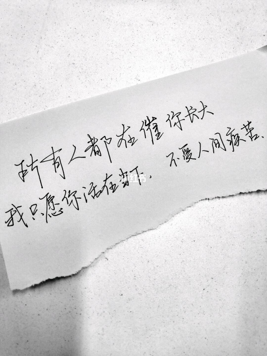 阿芒手写_手写_练字_每日练字打卡_人文_阅读