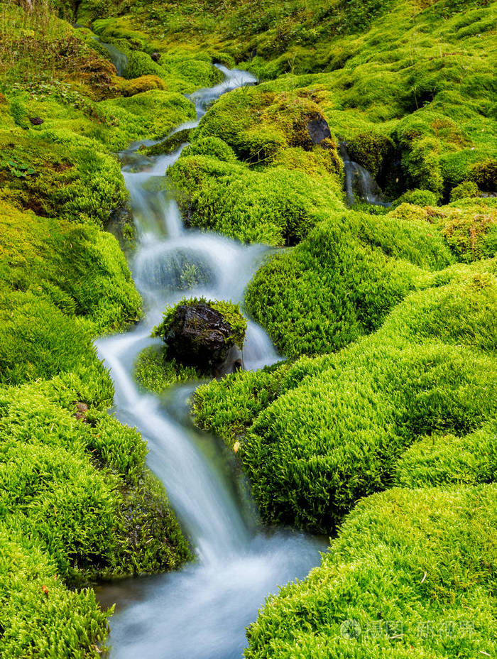 由青苔围拢的小山小河