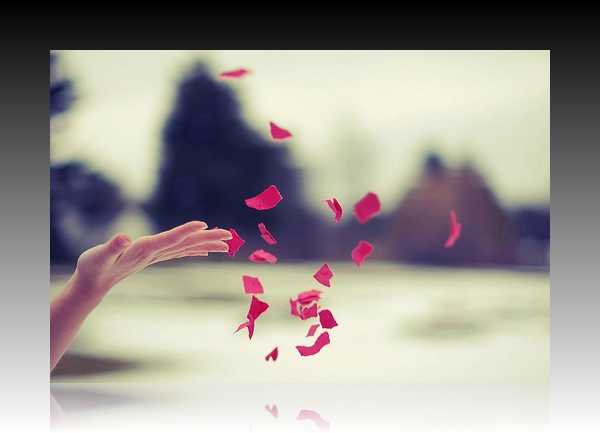 放手并不是我输了,而是我懂了