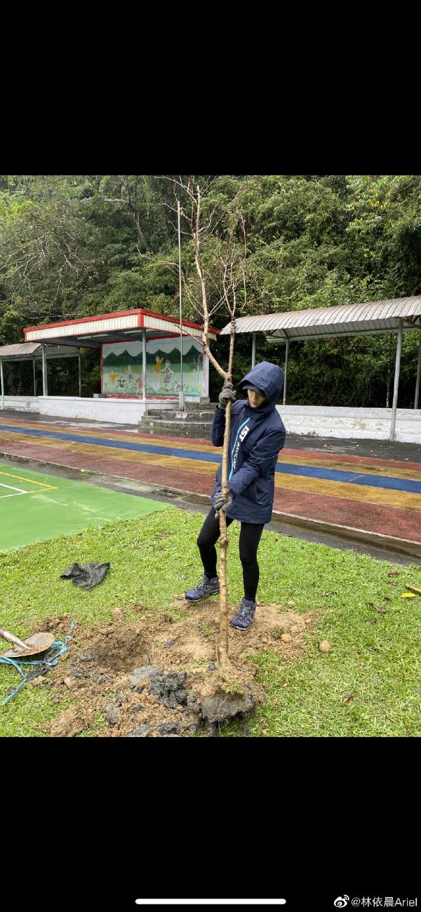 湘琴林依晨植树节种树戴手套拿铁锹亲力亲为