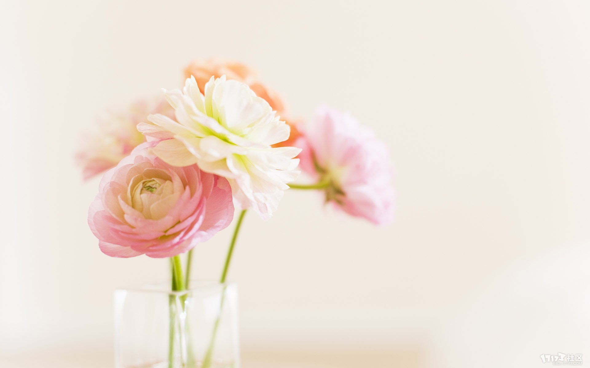 小清新风格桌面高清壁纸