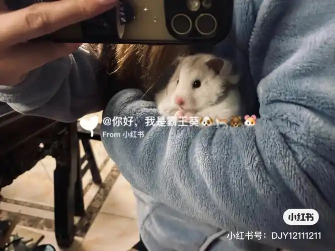 上着班接到了咕咕妈妈哭着打来的电话…老态它已经维持很久了,每天