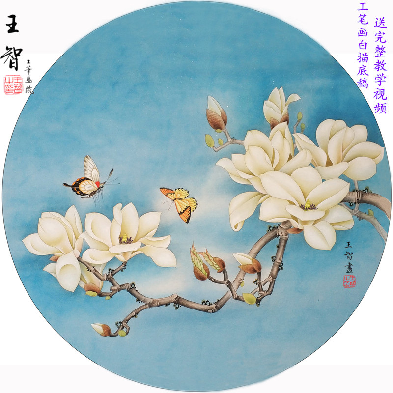 工笔画白描底稿线稿实物打印稿手绘线描可上色国画初学者玉兰蝴蝶