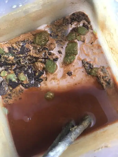 我是养蛊小能手