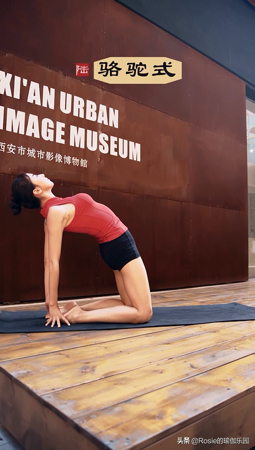 高圆圆复出身材完美,久坐身体僵硬赘肉堆积,4步灵活脊柱逆生长