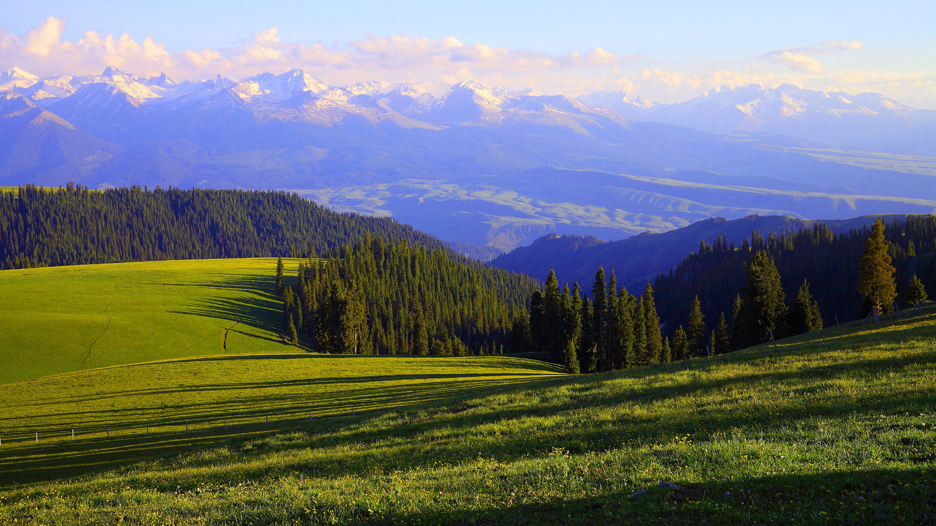 唯美清新草原护眼桌面壁纸高清大图预览1920x1080_风景壁纸下载_美桌