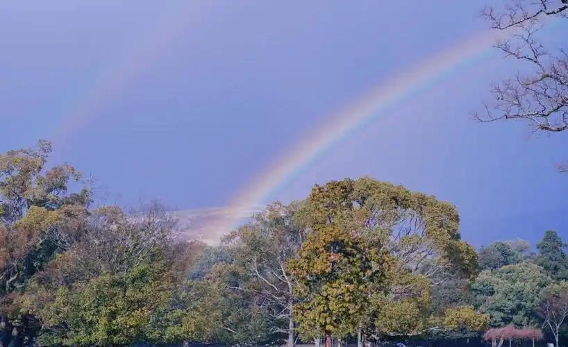 蓝天下的梦幻彩虹,高清图片 - ipad壁纸