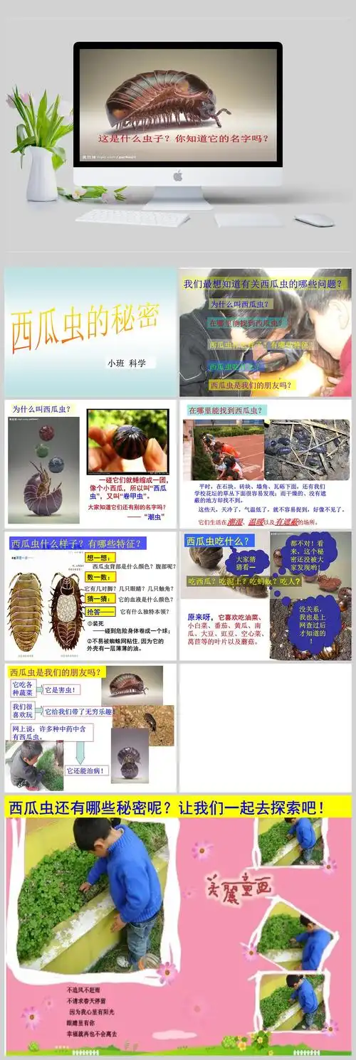 科学:西瓜虫的秘密