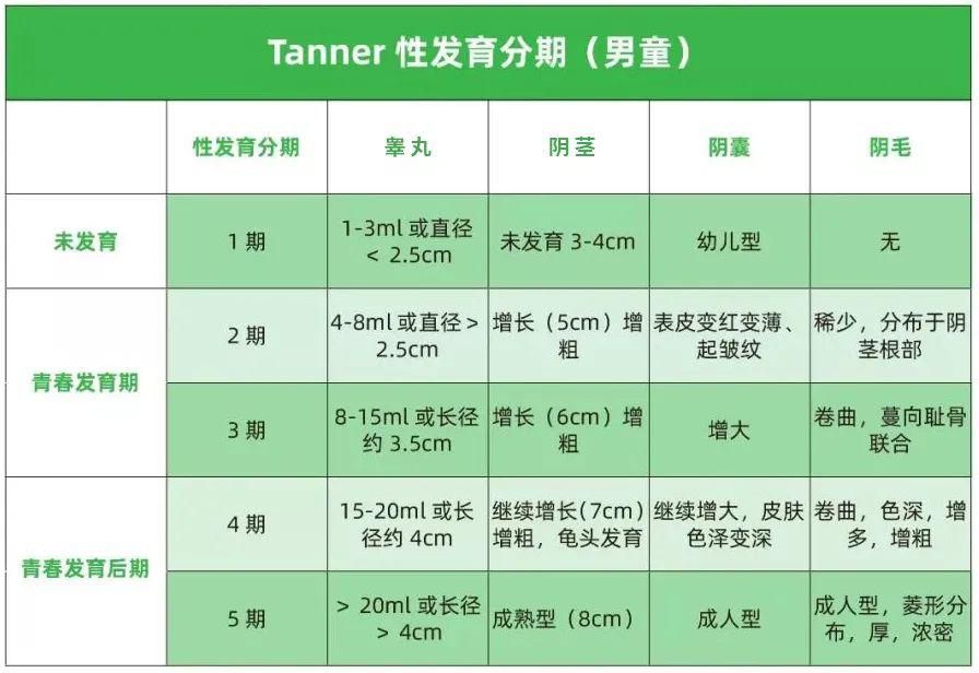发育过程通常5年左右.3.最后是声音低沉,遗精,腋毛和胡须发育.2.