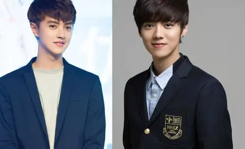 官鸿哪个学校毕业的 家庭背景大起底混血长相撞脸鹿晗