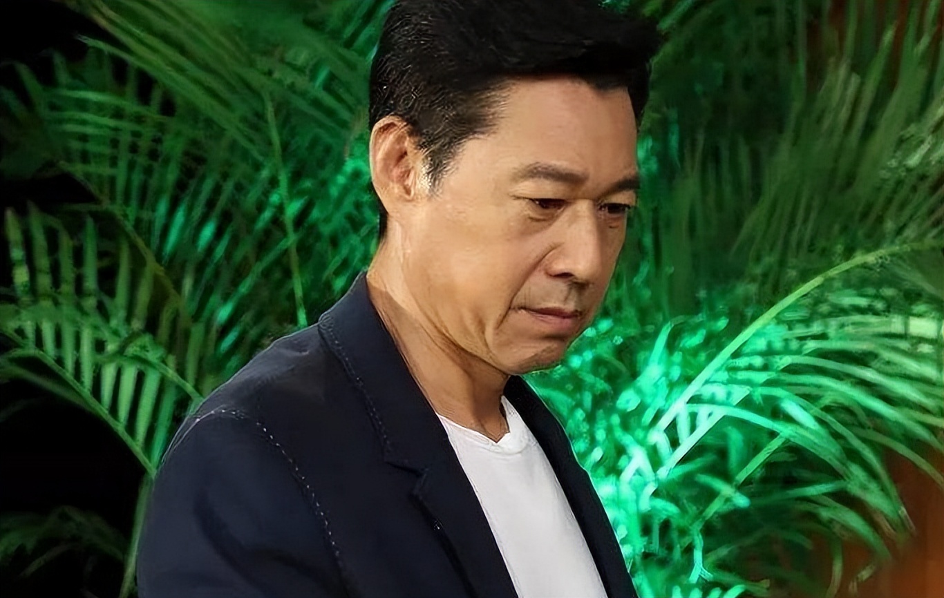 霍凡:嫁给二婚张丰毅,婚后28年无儿无女,她如今现状如何?