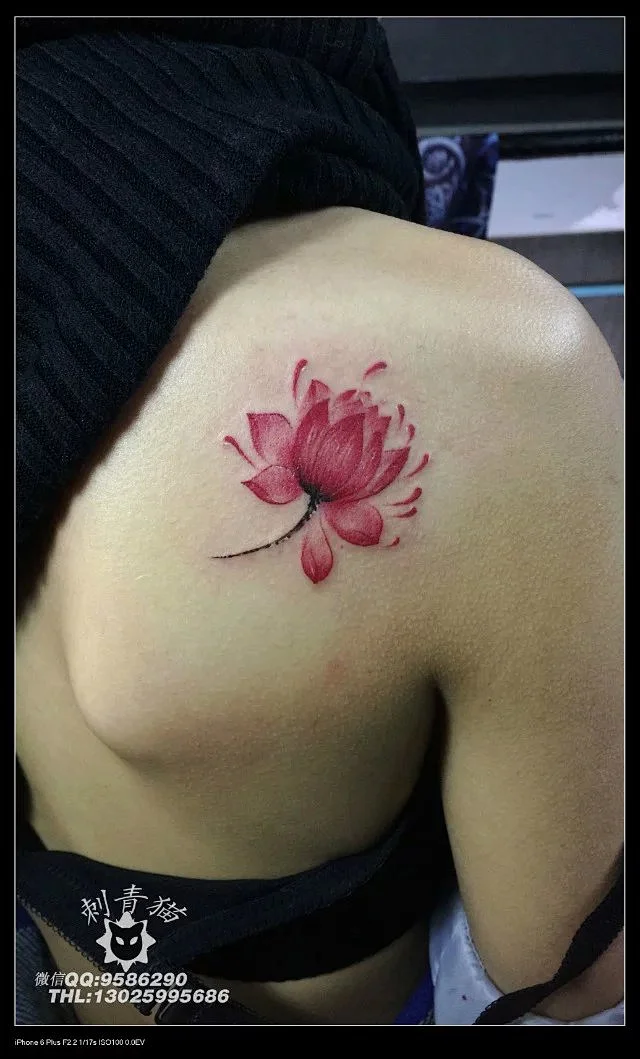 莲花纹身,#广西北海纹身#,#湖南永州纹身#,#刺青猫纹身
