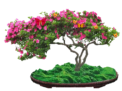 400_300gif 动态图 动图