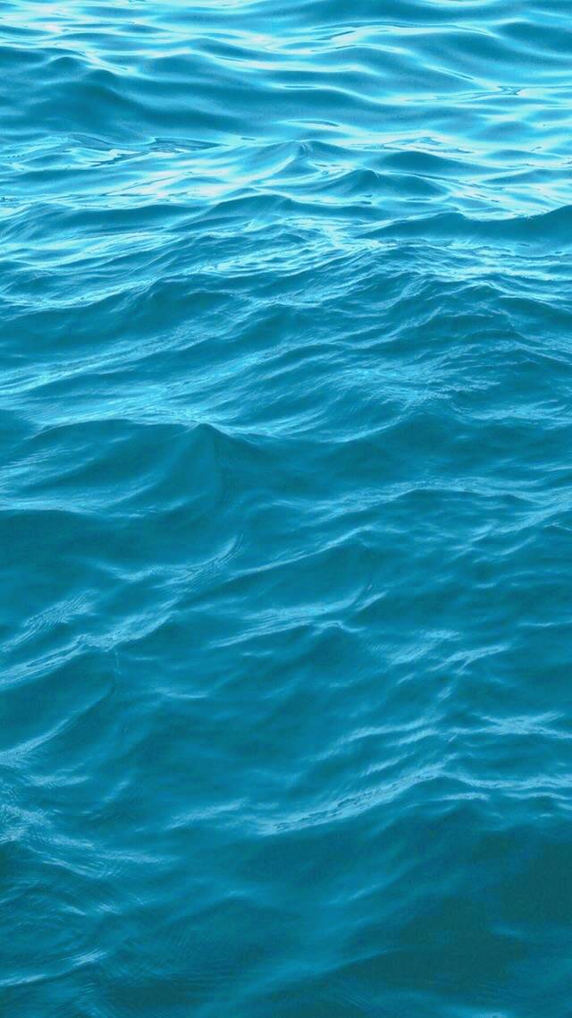 淡蓝-堆糖,美好生活研究所