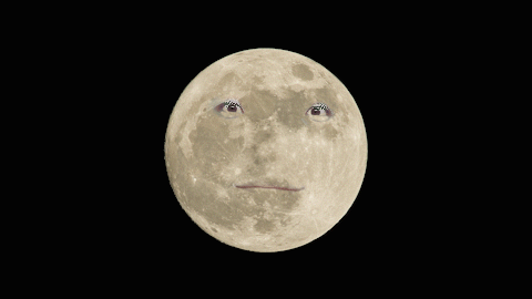 pr-人脸月亮趣味特效来源于此课程讲师:老李万事屋2021-02-08 19:43点