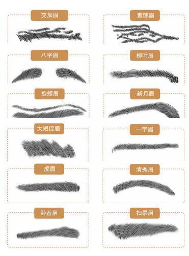 男生的眉型都有哪些?