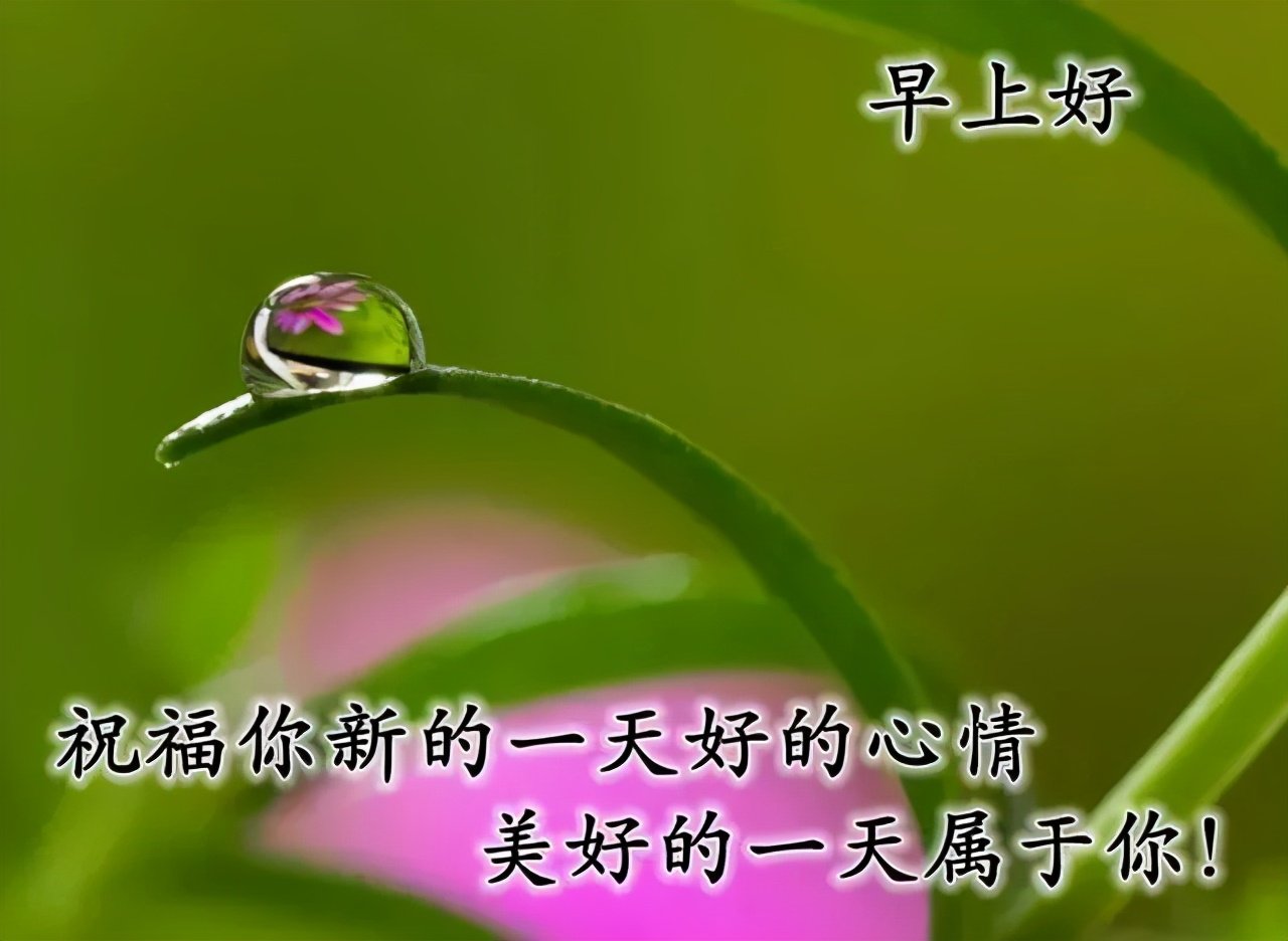 精美的早安图片,温馨的早安问候语,最美的祝福送给亲爱的朋友