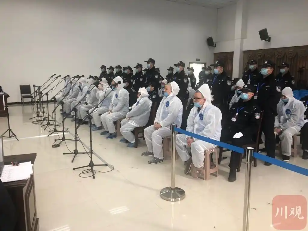 首犯获刑25年盐亭袁麒淞等19人涉黑案件一审宣判