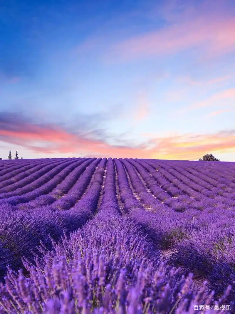 世界上最美的80个地方