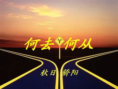 星月何去何从小说