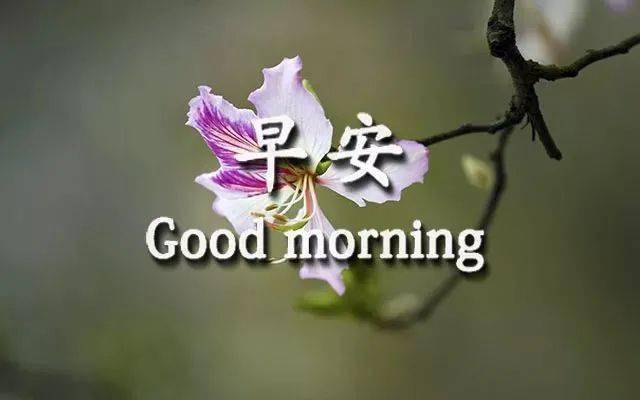 2021年春季最新版早上好特别漂亮的早安动态祝福图片