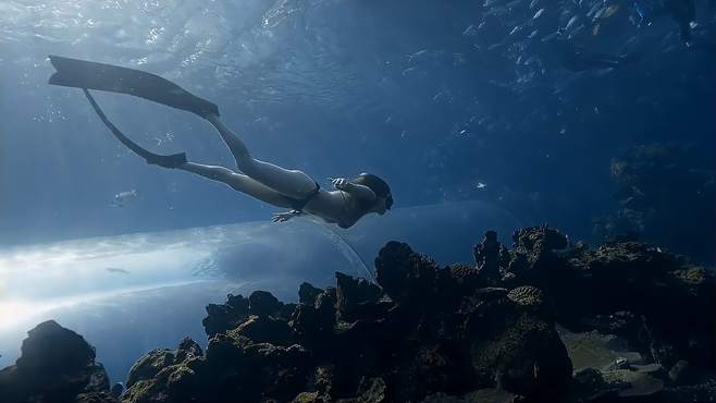潜水美女合集,肤白貌美小姐姐,是多少男人心中的女神!